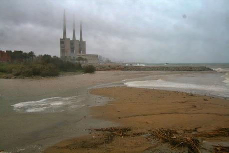 Lluvia y Aves en la Desembocadura del Río Besòs