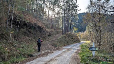Desvío a la Cuesta de Argoma