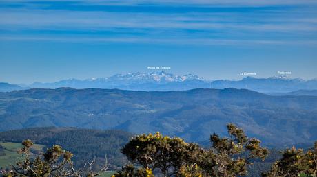 Picos de Europa desde el Llan de Cubel