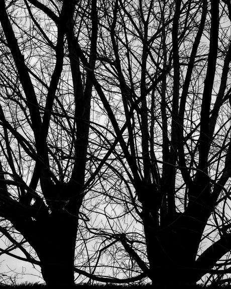 Creatividad 216 #photography