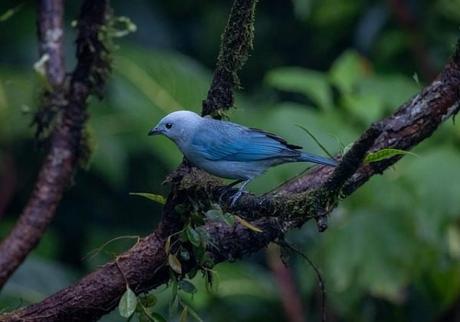 Tu guía definitiva para explorar Tánger: qué ver en 3 días con estilo