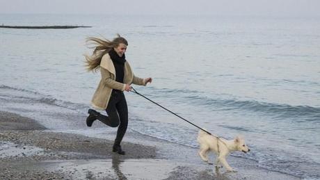 Sumérgete en la magia de surf perros Suances: experiencias inolvidables Sumérgete en la magia de surf perros Suances: experiencias inolvidables