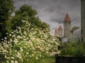 Venerdí Photosatriani