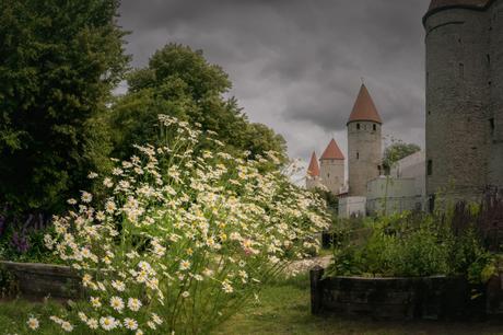 Il Venerdí di Photosatriani N. 515