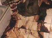 Servicio limpiezas forenses