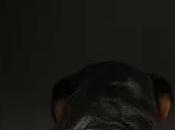 MATARÁS” Sofía González