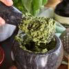 Pesto Casero