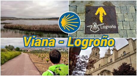 Nuestro Camino de Santiago: 40 etapas, una aventura inolvidable Viana - Logroño