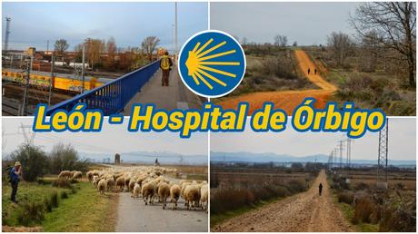 Nuestro Camino de Santiago: 40 etapas, una aventura inolvidable Leon - Hospital de Orbigo