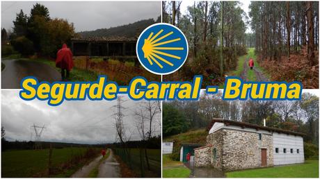 Nuestro Camino de Santiago: 40 etapas, una aventura inolvidable Segurde Carral - Bruma
