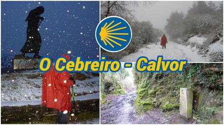 Nuestro Camino de Santiago: 40 etapas, una aventura inolvidable O Cebreiro - Calvor