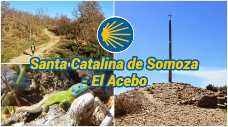 Nuestro Camino de Santiago: 40 etapas, una aventura inolvidable Santa Catalina de Somoza - El Acebo