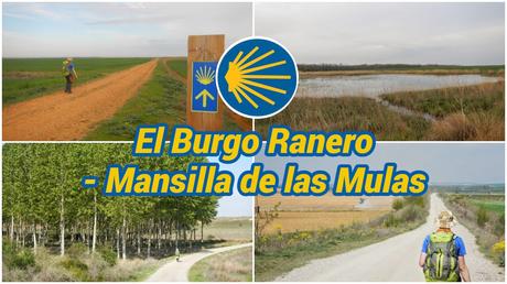Nuestro Camino de Santiago: 40 etapas, una aventura inolvidable Burgo Ranero - Mansilla de las Mulas