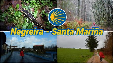 Nuestro Camino de Santiago: 40 etapas, una aventura inolvidable De Negreira - Santa Mariña
