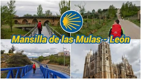 Nuestro Camino de Santiago: 40 etapas, una aventura inolvidable Mansilla de las Mulas - León