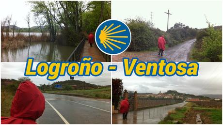 Nuestro Camino de Santiago: 40 etapas, una aventura inolvidable Logroño - Ventosa
