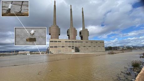 Larus audouinii en las Tres Xemeneies: réquiem por ATL8