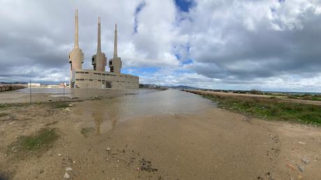 Larus audouinii en las Tres Xemeneies: réquiem por ATL8