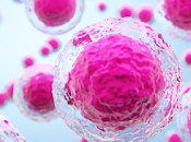 Científicos japoneses logran avances lesiones medulares tratamiento células madres