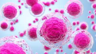 Científicos japoneses logran avances en lesiones medulares con un tratamiento de células madres Científicos japoneses logran avances en lesiones medulares con un tratamiento de células madres