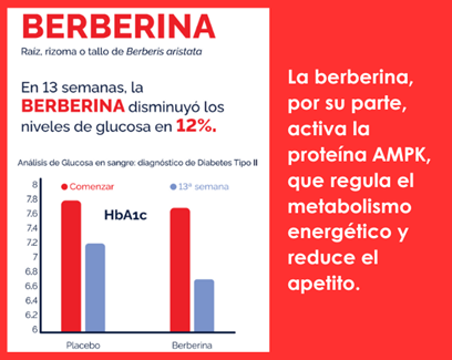 Revoluciona tu salud y tu figura con DietformPic