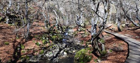 |Ruta| Ciñera - Castillete del Pozo Ibarra y Faedo (ruta hecha en 2.025) |Ruta| Ciñera - Castillete del Pozo Ibarra y Faedo (ruta hecha en 2.025)