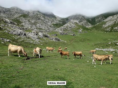 Poncebos-Senda del Cares-Canal de la Raya-Vega Maor-Ostón-Canal de Culiembru