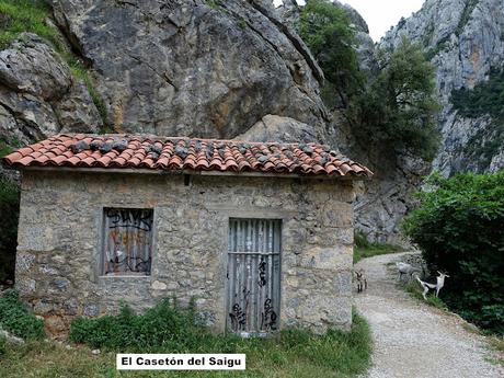 Poncebos-Senda del Cares-Canal de la Raya-Vega Maor-Ostón-Canal de Culiembru
