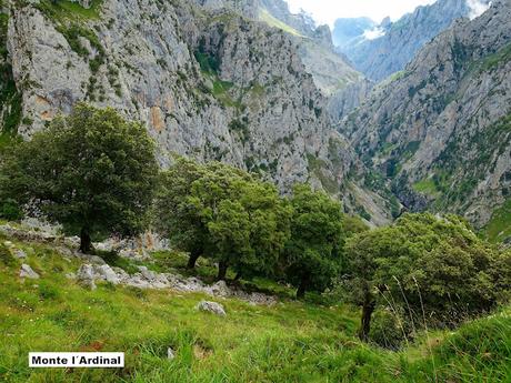 Poncebos-Senda del Cares-Canal de la Raya-Vega Maor-Ostón-Canal de Culiembru