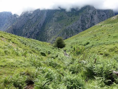Poncebos-Senda del Cares-Canal de la Raya-Vega Maor-Ostón-Canal de Culiembru