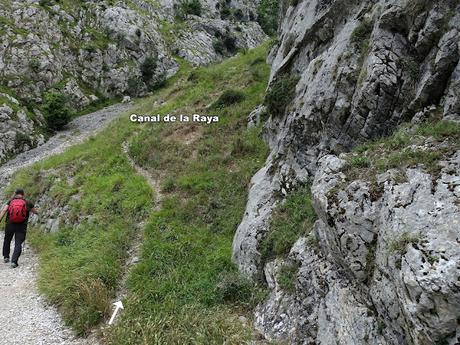 Poncebos-Senda del Cares-Canal de la Raya-Vega Maor-Ostón-Canal de Culiembru