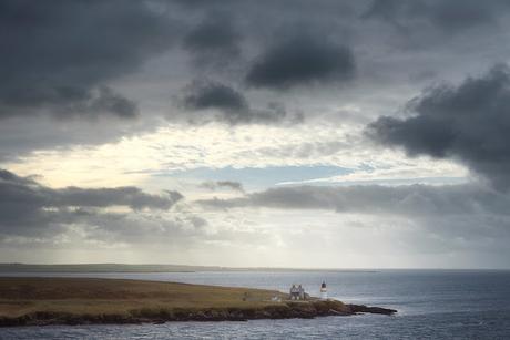 Despejado - Carys Davies