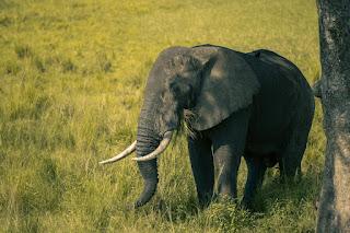 EL ARTE DE RELACIONARSE Y LA TEORÍA DEL INCONSCIENTE