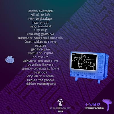 E-NUMBER electric homemade