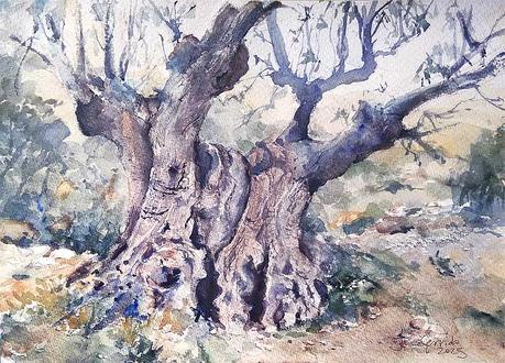 Acuarelas marzo 2025