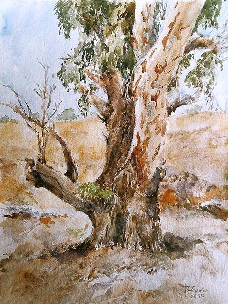 Acuarelas marzo 2025