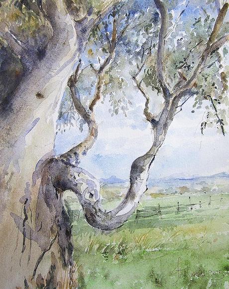 Acuarelas marzo 2025