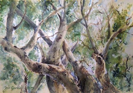 Acuarelas marzo 2025