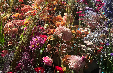 PHILADELPHIA FLOWER SHOW ¿Sueñan los jardines con hologramas eléctricos? 11