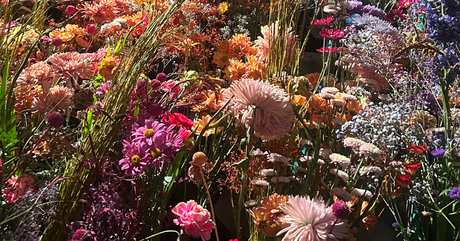 PHILADELPHIA FLOWER SHOW ¿Sueñan los jardines con hologramas eléctricos? 7