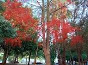 hace luminoso: tanta