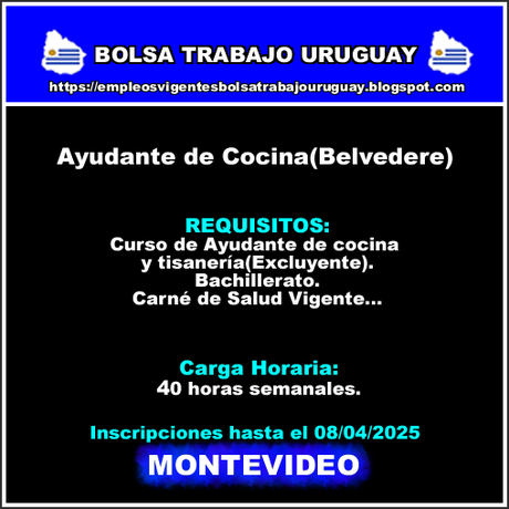 Ayudante de Cocina(Belvedere) Ayudante de Cocina(Belvedere)