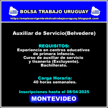 Auxiliar de Servicio(Belvedere) Auxiliar de Servicio(Belvedere)