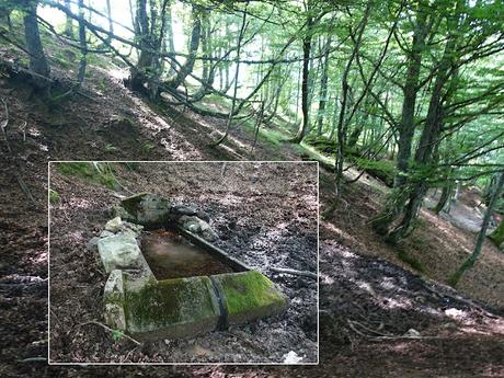 Tarna-La Vega Texéu-La Cerra Altu Pasu