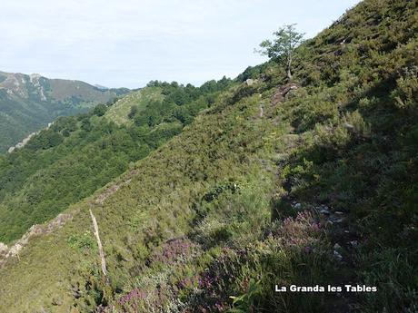Tarna-La Vega Texéu-La Cerra Altu Pasu