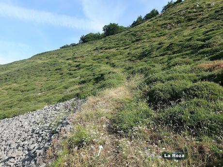 Tarna-La Vega Texéu-La Cerra Altu Pasu