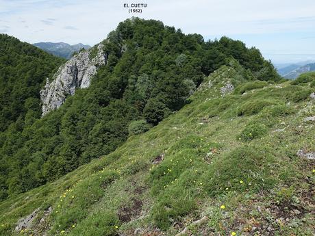 Tarna-La Vega Texéu-La Cerra Altu Pasu