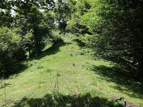 Tarna-La Vega Texéu-La Cerra Altu Pasu