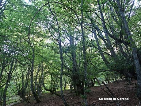 Tarna-La Vega Texéu-La Cerra Altu Pasu