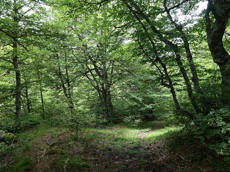 Tarna-La Vega Texéu-La Cerra Altu Pasu